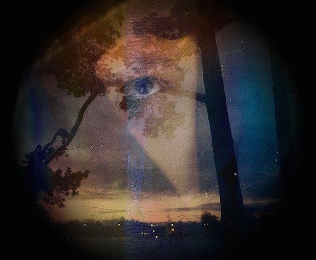 Magical-Double-Exposure-in-The-Forest-5