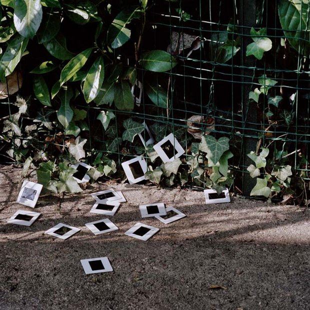 08-© Alexandra Serrano.jpg_1402132759