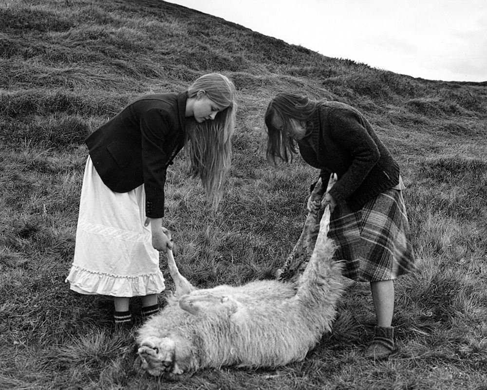 0c35eeaae8ce67482a16d6bdd8f45d19-large