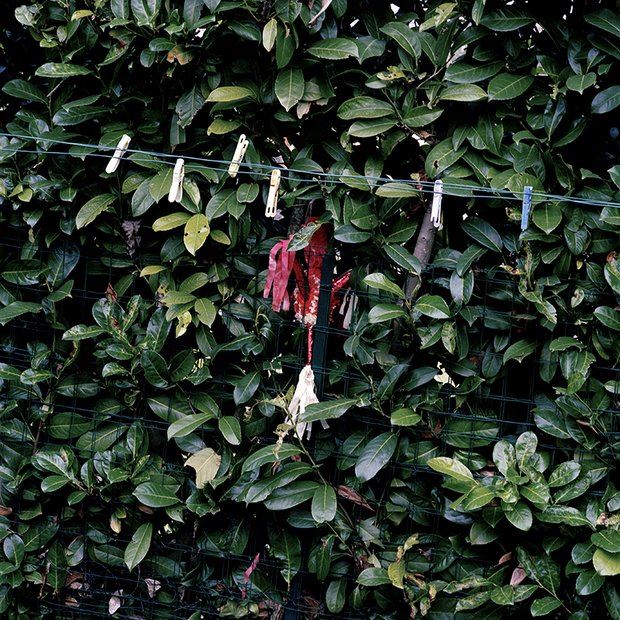 12-© Alexandra Serrano-007