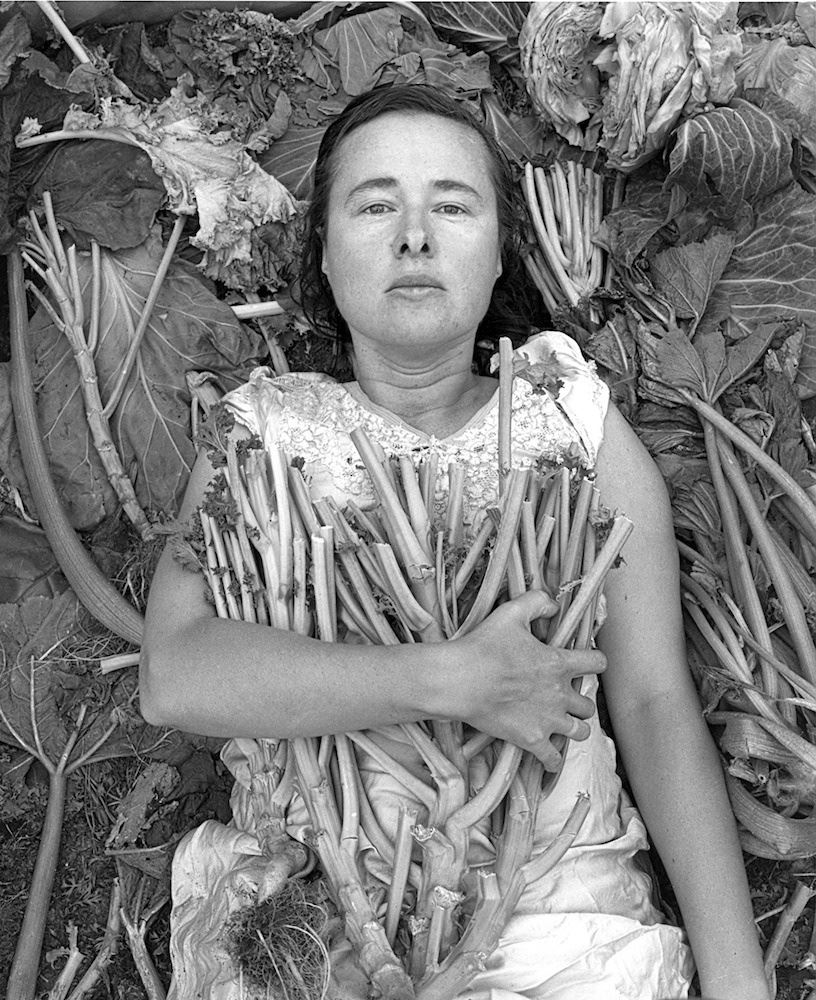 460a04455f37cd2e49911b8af2323b1b-large