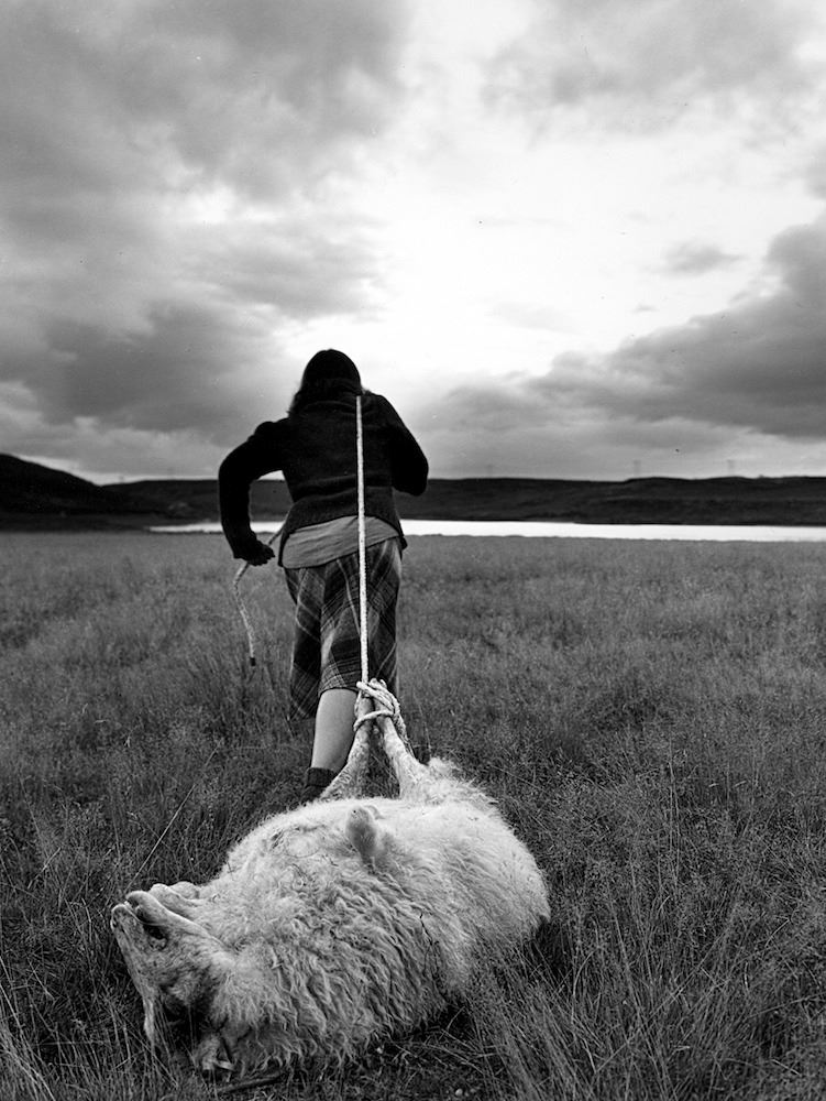 5c023a3e4c2a1b287c9b491f1fd4609e-original