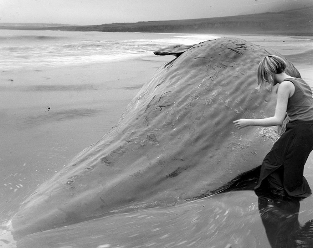 97d041c897e584bd4b6d9f4f1b868f49-original