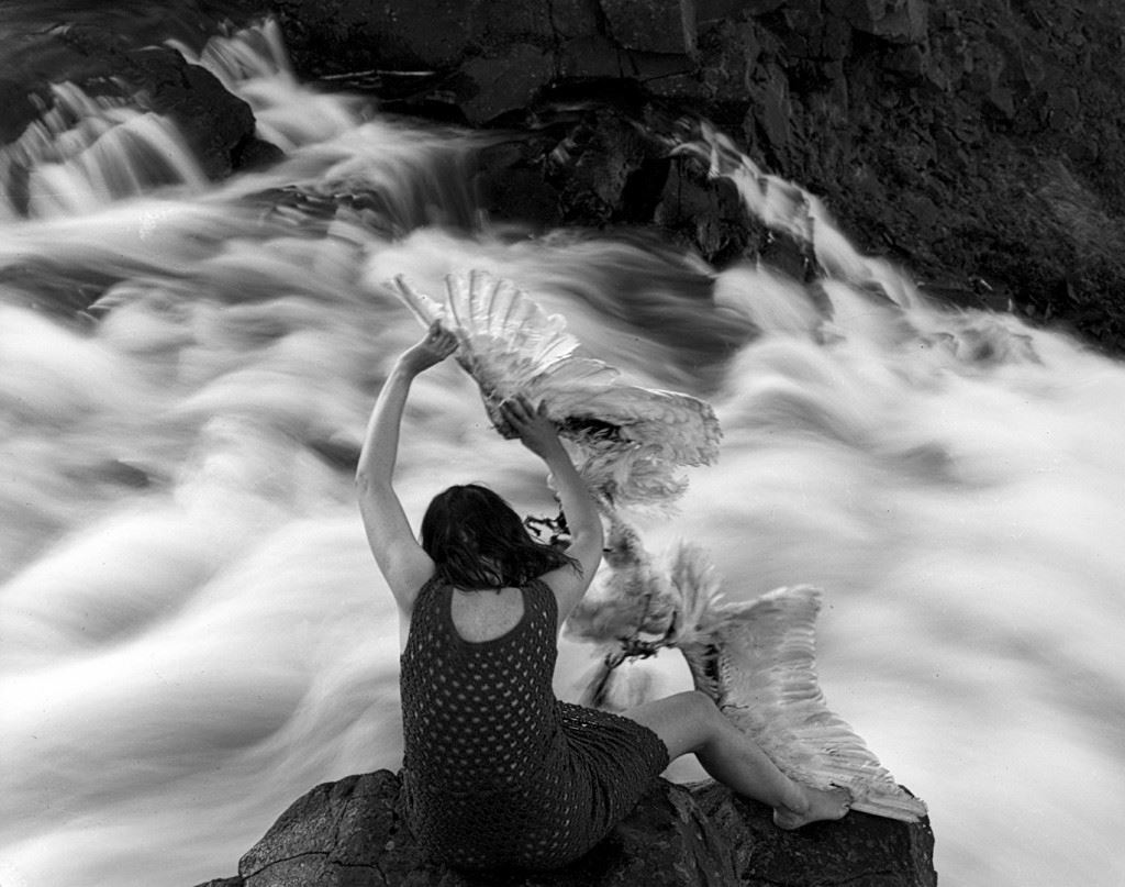 d4bece1b63947455f95f94b9811f911e-original