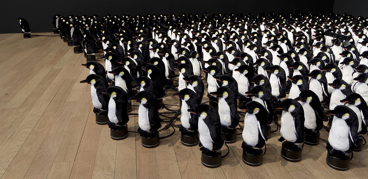 dr_penguins_23-w
