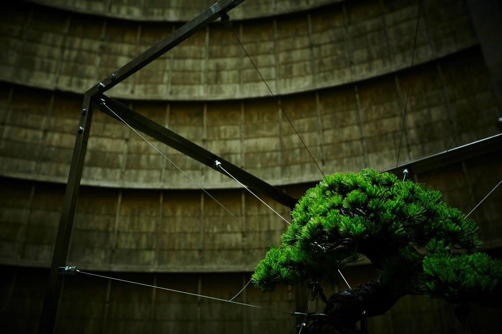 shiki-bonsai-power-station-belgium-IM