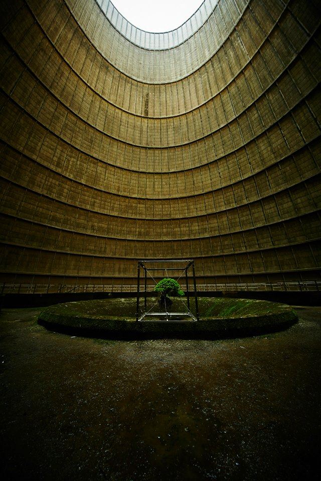 shiki-bonsai-power-station-belgium-IM-2