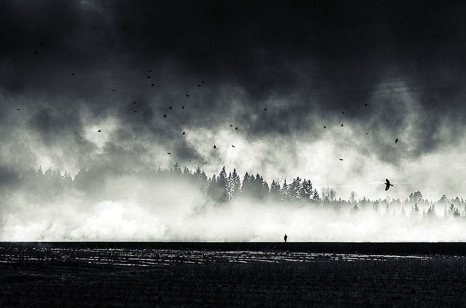 Mikko Lagerstedt