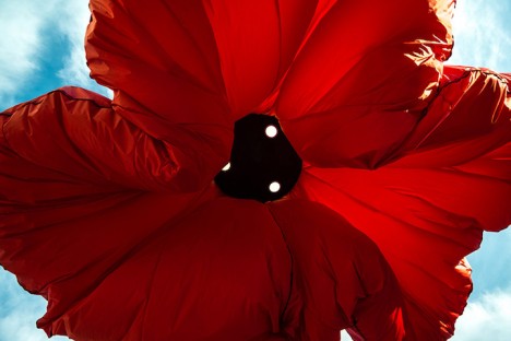 flower-lights-6-468x312