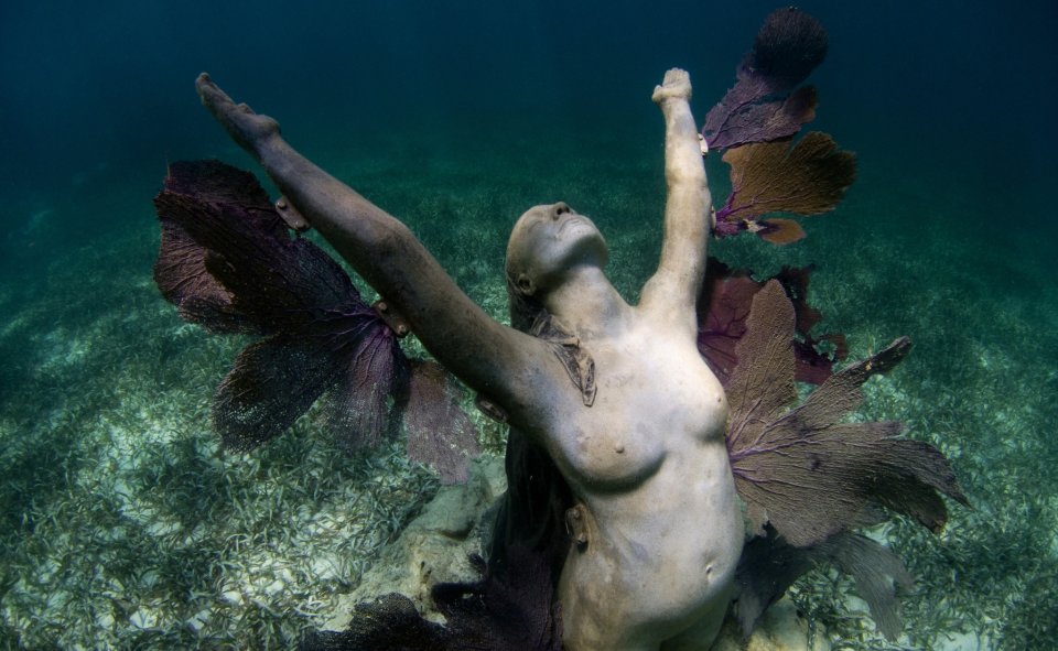 Jason decaires Taylor