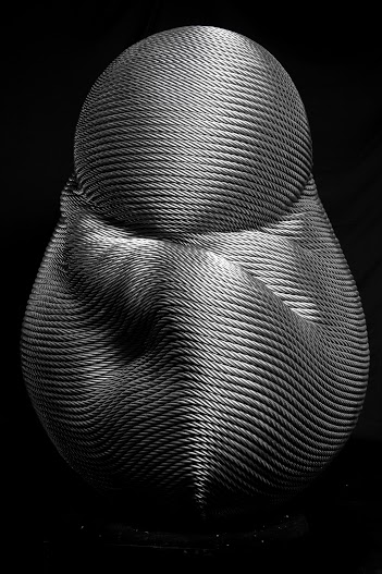_DSC0317