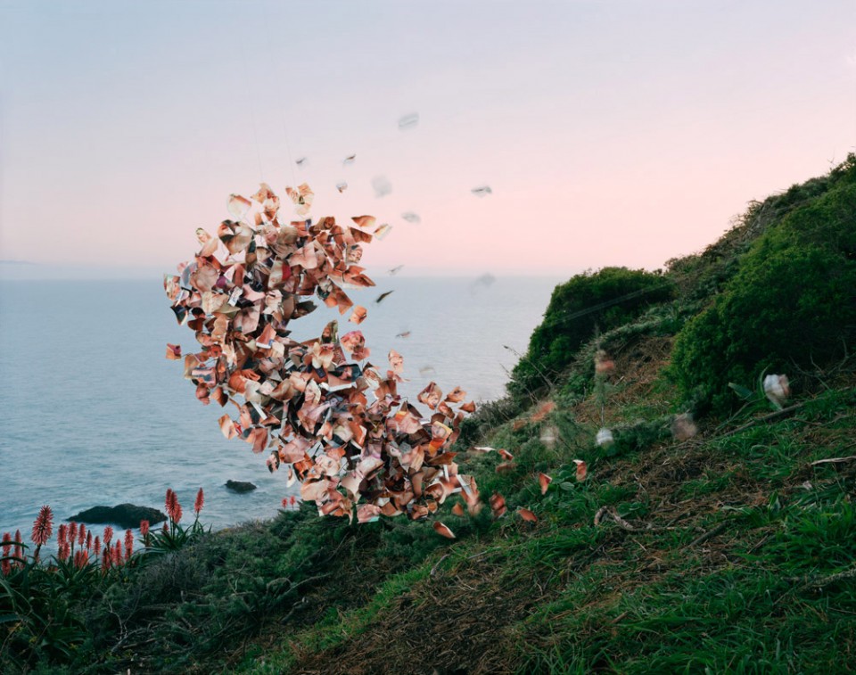 Emergent Behavior
