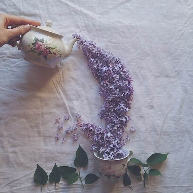 俄羅斯花卉攝影