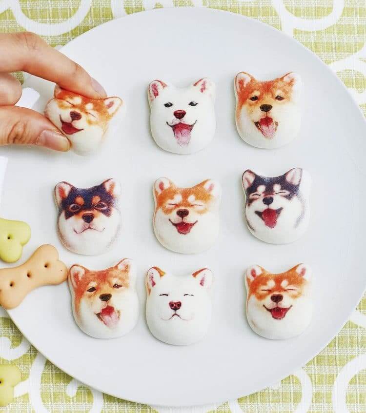 柴犬棉花糖
