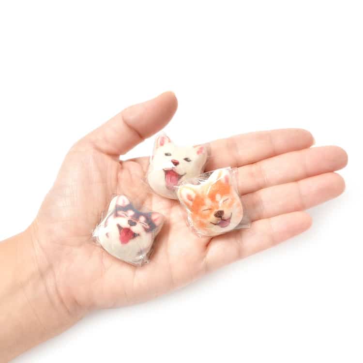 柴犬棉花糖