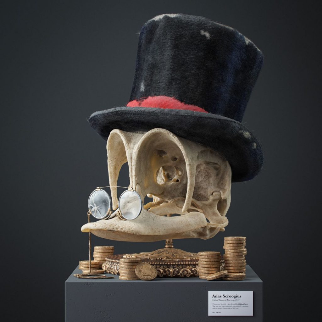 化石,卡通,繪圖軟體,3D繪圖,藝術,城市美學新態度