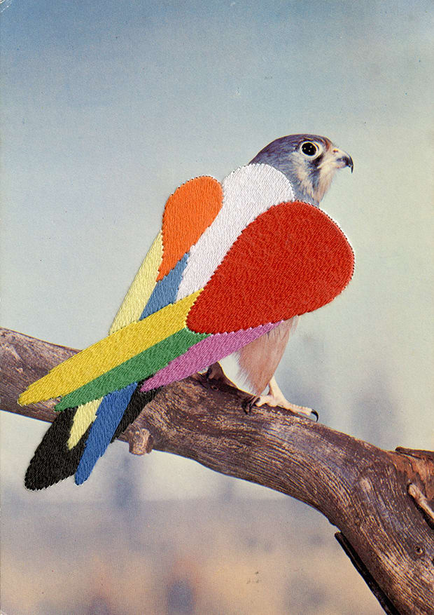藝術家Julie Cockburn 