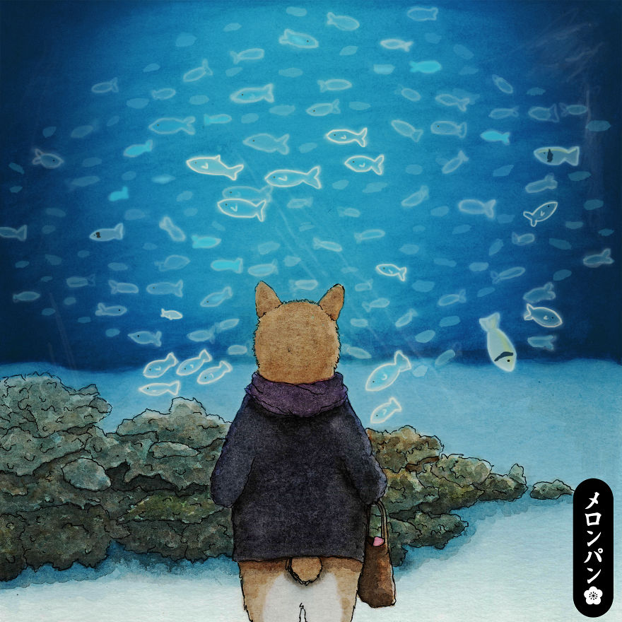 《Meronpan》動物插畫