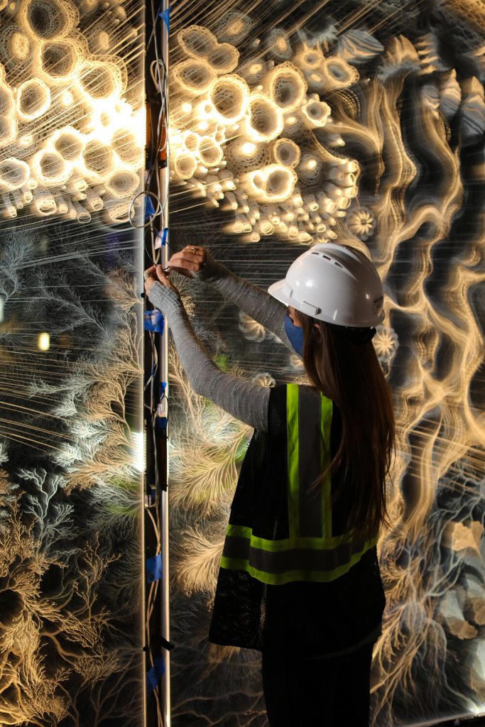 藝術家Claudia Bueno