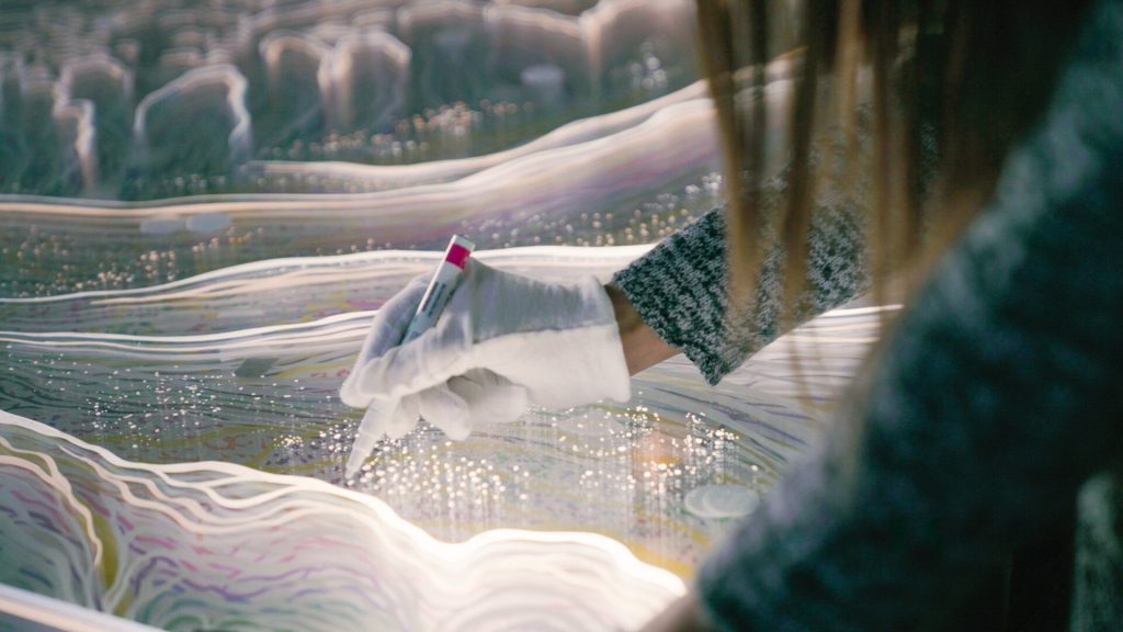 藝術家Claudia Bueno