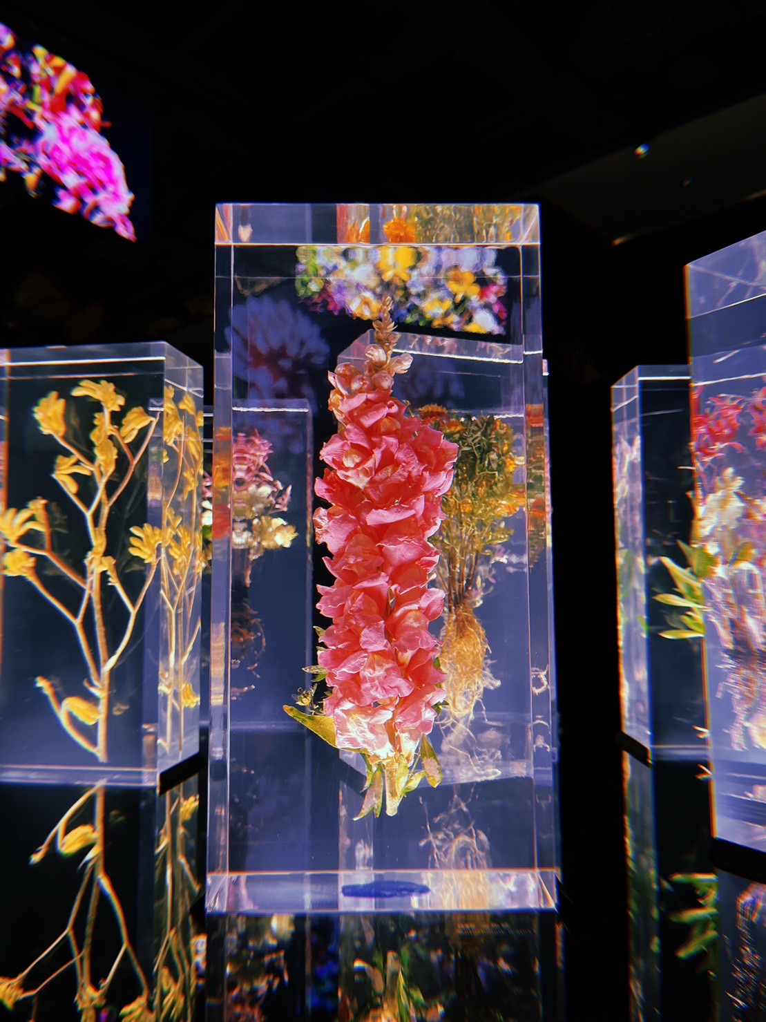 東信展